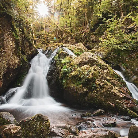 Gasthof Logis De La Poirie
