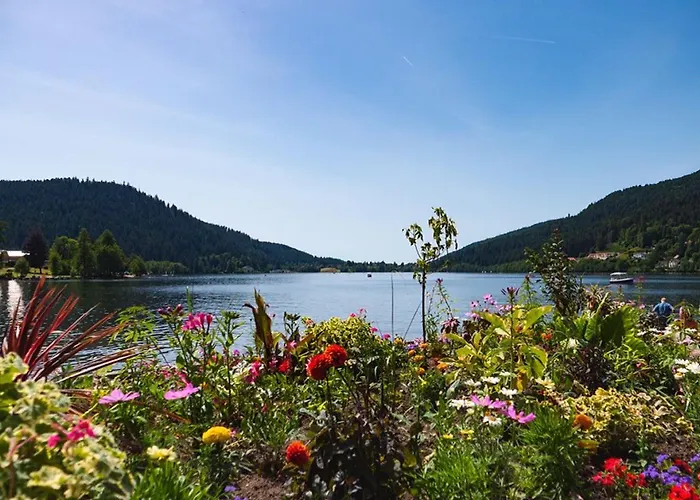 Inn Logis De La Poirie Tendon