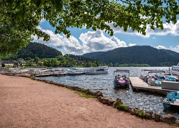 Logis De La Poirie Tendon