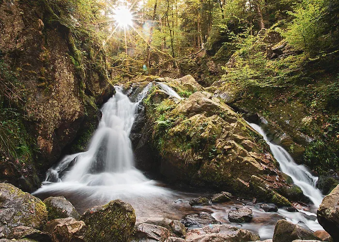 Inn Logis De La Poirie